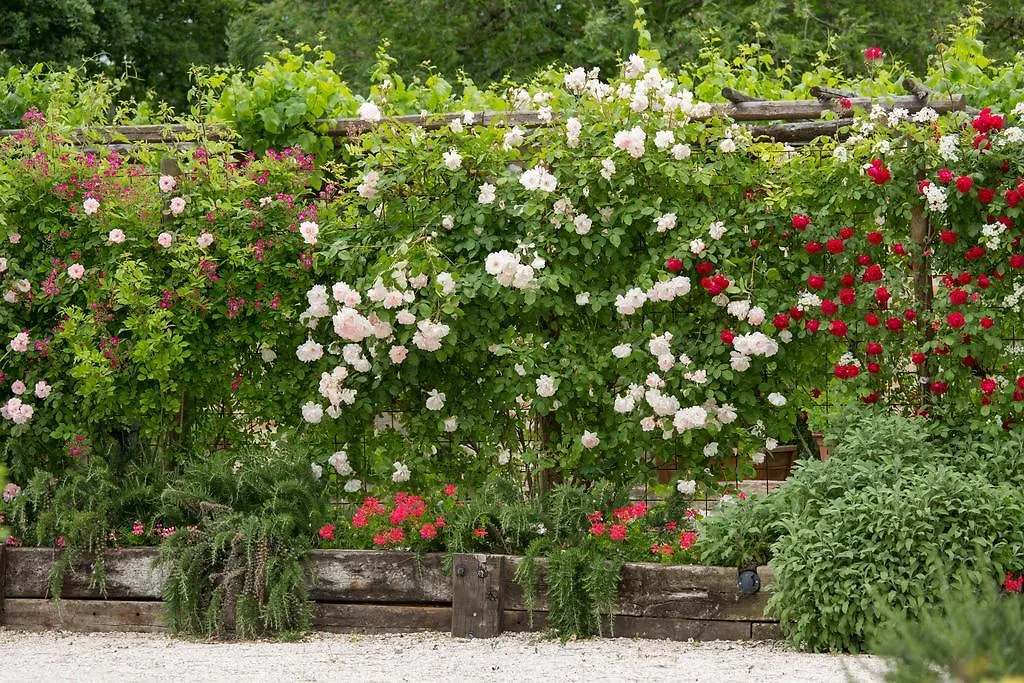 Ca'Bevilacqua Bed&Breakfast Bertinoro
