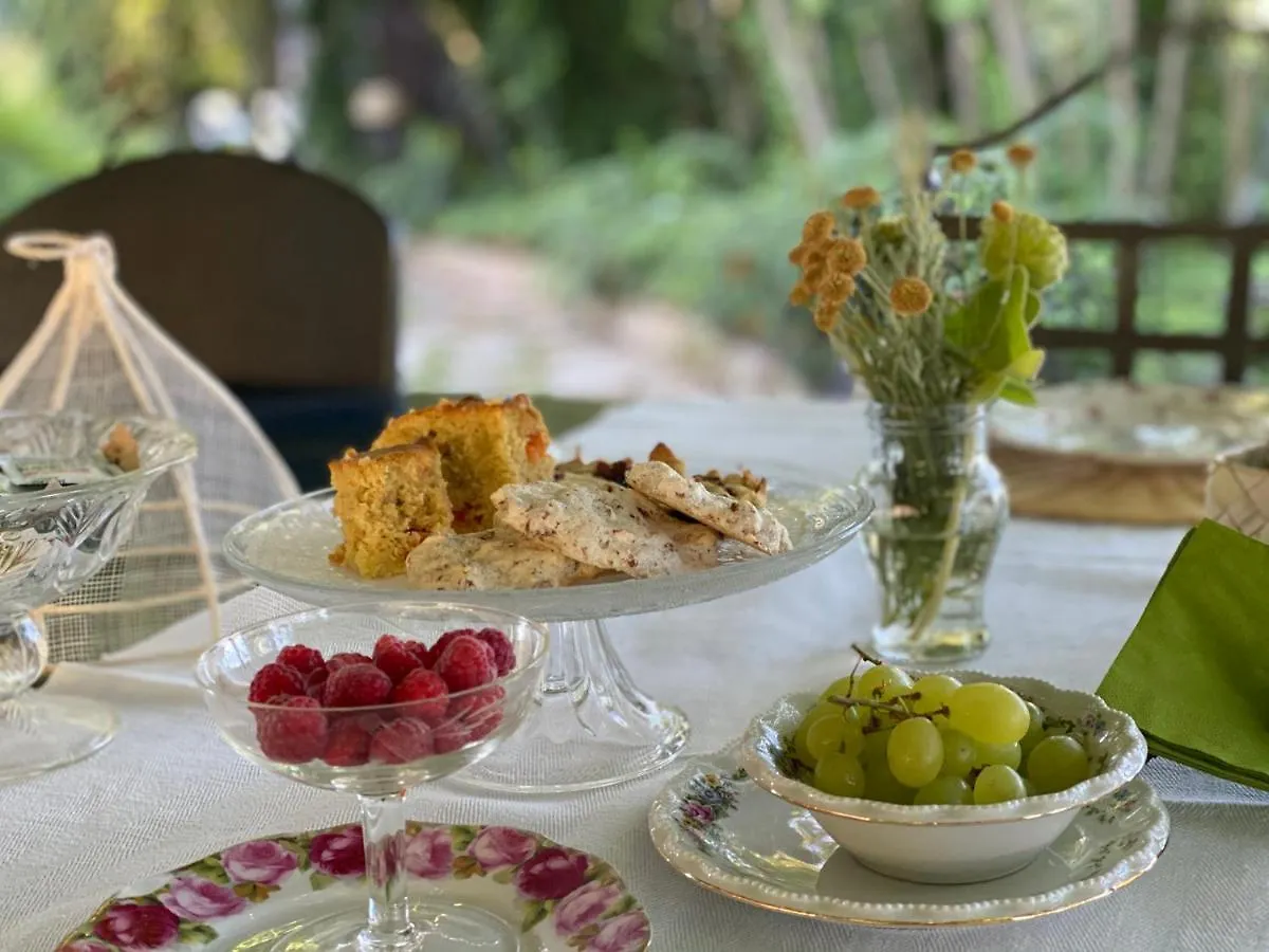 Bed & Breakfast Ca'Bevilacqua Bed&Breakfast Bertinoro