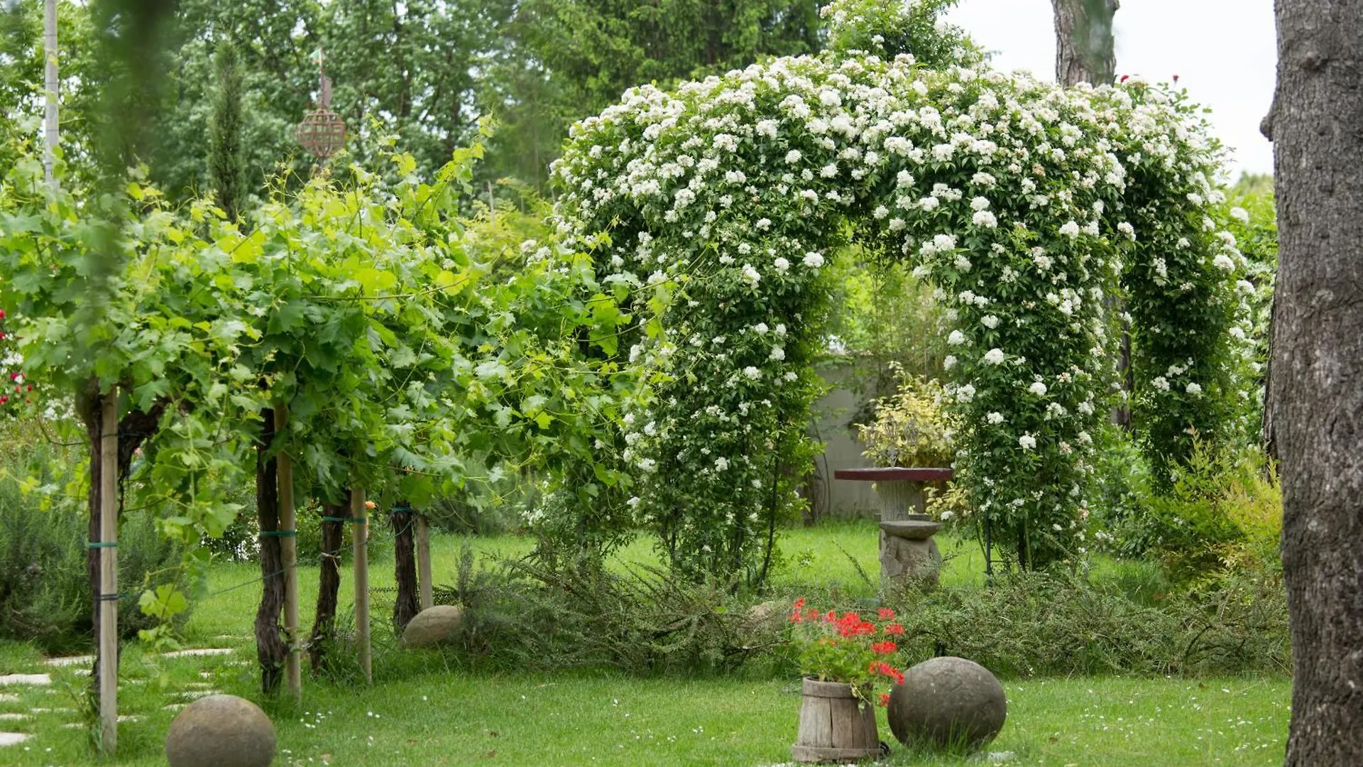 Bed & Breakfast Ca'Bevilacqua Bed&Breakfast Bertinoro