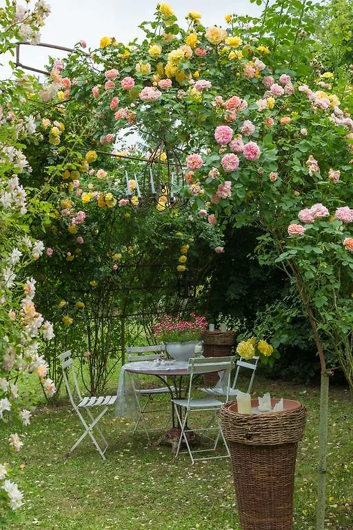 Ca'Bevilacqua Bed&Breakfast Bertinoro Itálie